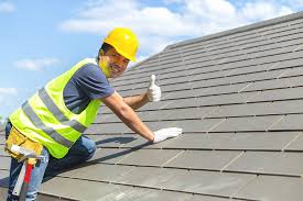 Best Hot Roofs  in Webberville, MI